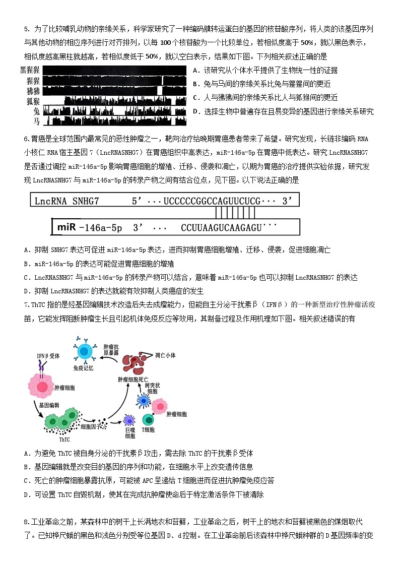 2024届高三第10次月考生物试卷（正式）第2页