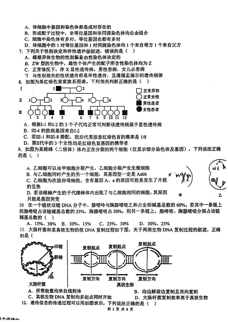 江苏省镇江市京口区实验高级中学2023-2024学年高一下学期生物月考试题02