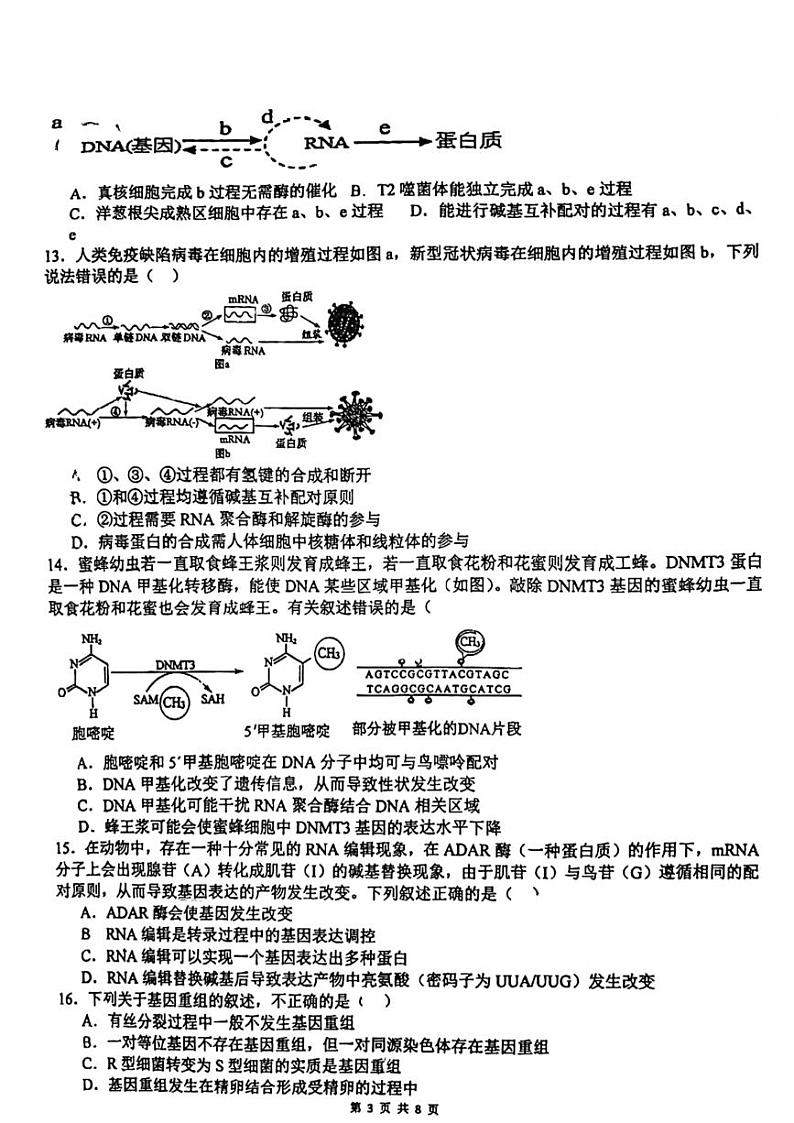 江苏省镇江市京口区实验高级中学2023-2024学年高一下学期生物月考试题03