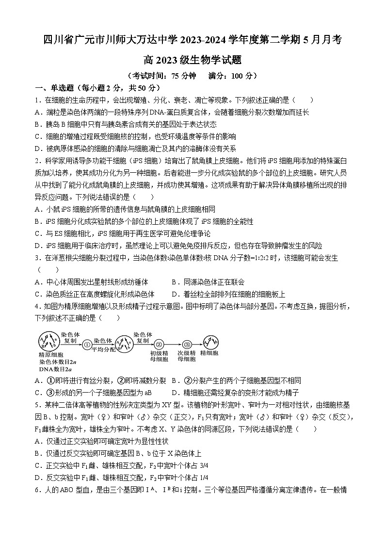 四川省广元市川师大万达中学2023-2024学年高一下学期5月月考生物试题第1页