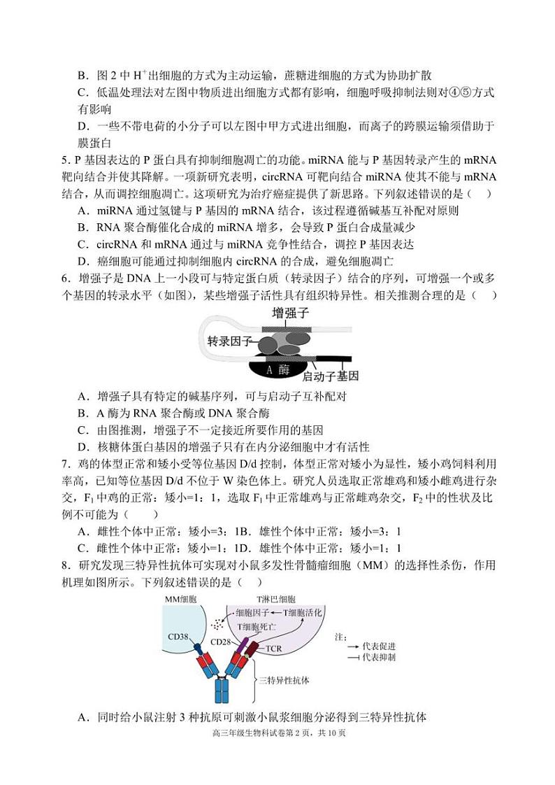 2024届辽宁省东北育才学校科学高中部高三下学期适应性测试（最后一模）生物试卷+答案02