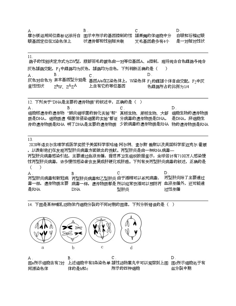 广东省湛江市雷州市第二名校2023-2024学年高一下学期生物期中试卷03