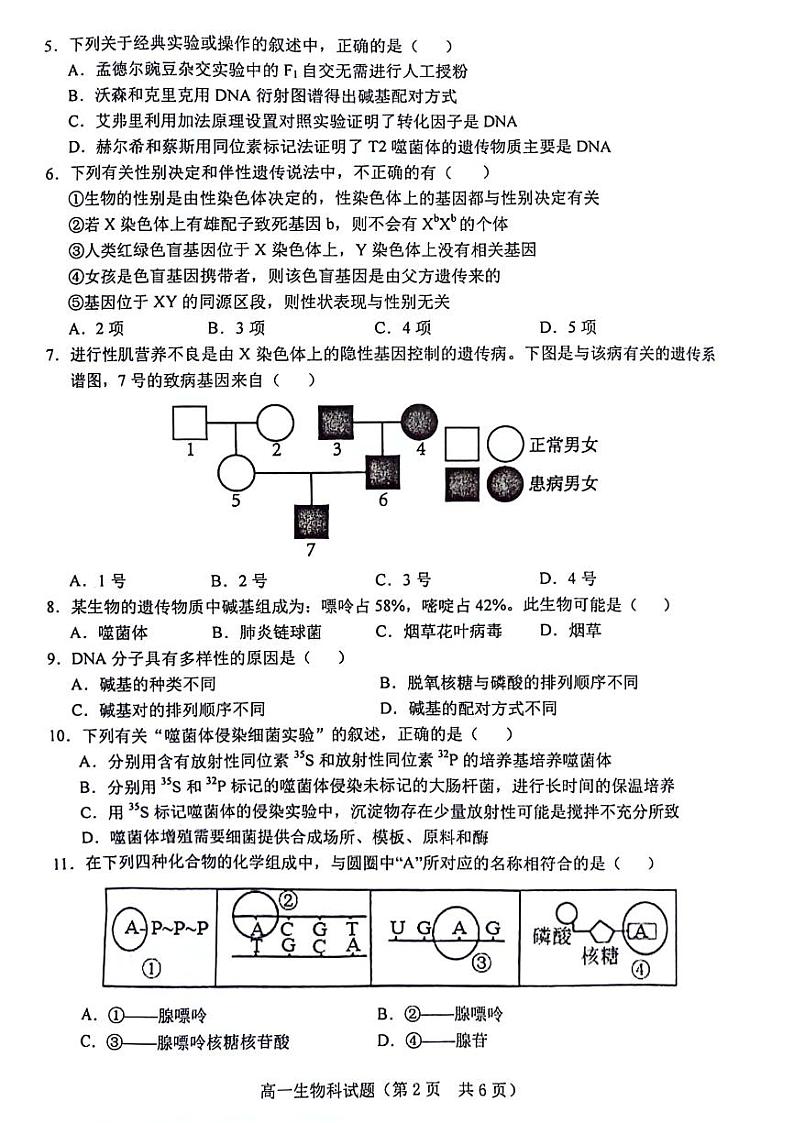 海南省琼海市嘉积中学2023-2024学年高一下学期期中考试生物试题02