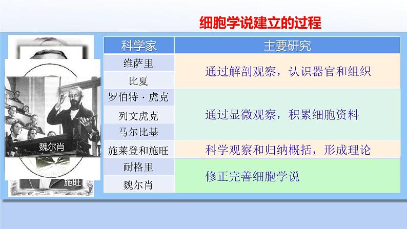 人教版2019高中生物必修11-1细胞是生命活动的基本单位课件(可编版)07