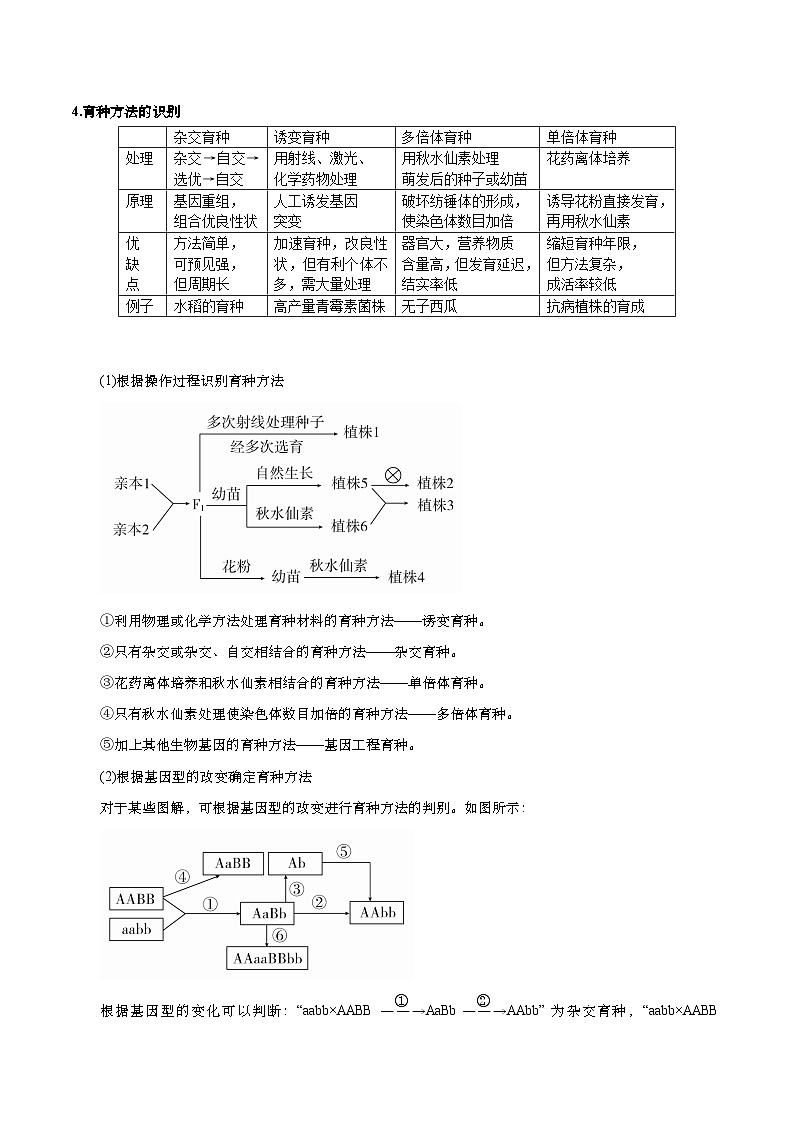微专题5 变异、育种、进化 原卷版-2024年高考生物考前冲刺微专题限时练（全国通用）02