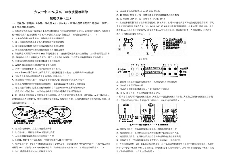 2024安徽六安一中高三三模生物试题及答案01