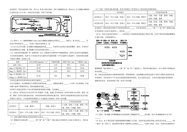 2024安徽六安一中高三三模生物试题及答案03