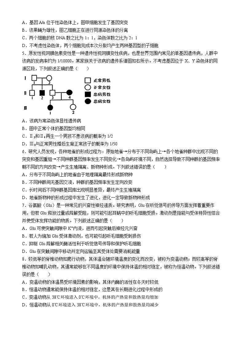 2024衡水部分示范性高中高三下学期三模试题生物含解析02