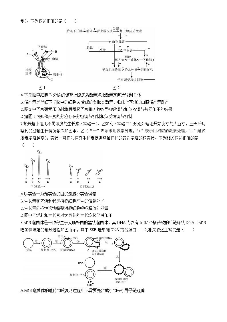 2024秦皇岛部分示范高中高三下学期三模试题生物含答案02