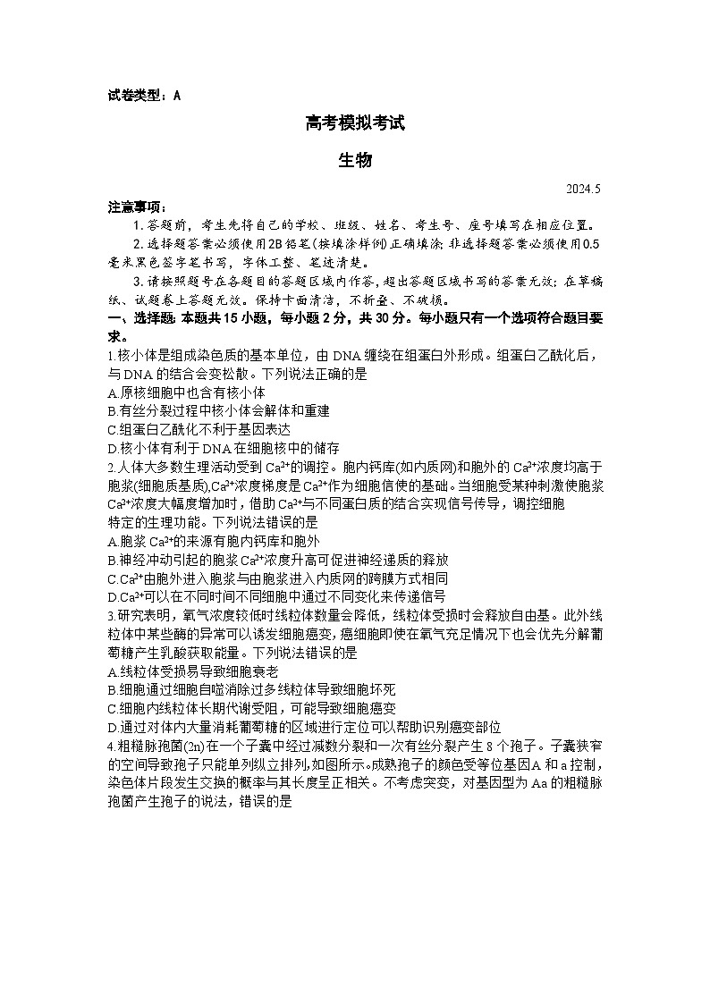 2024潍坊高三下学期三模试题生物含答案01