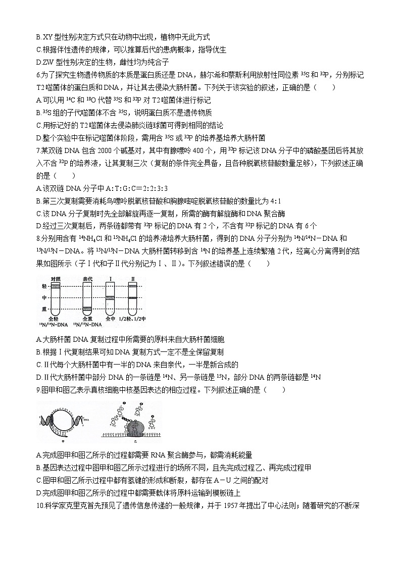 2024濮阳新高中创新联盟TOP20名校高一下学期5月调研考试生物含解析02