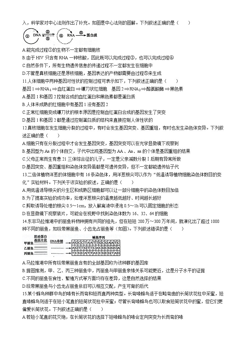 2024濮阳新高中创新联盟TOP20名校高一下学期5月调研考试生物含解析03