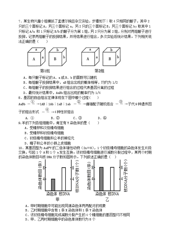 2024福州六校联考高一下学期期中联考生物试题02