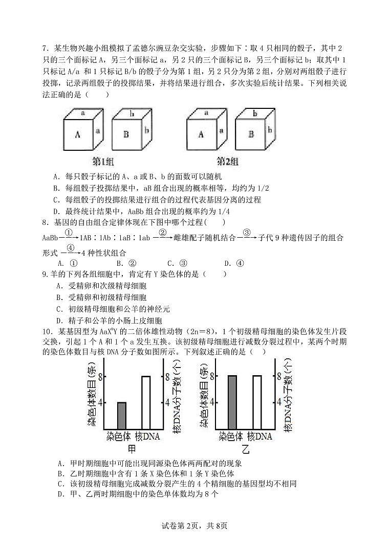 2024福州六校联考高一下学期期中联考生物试题02