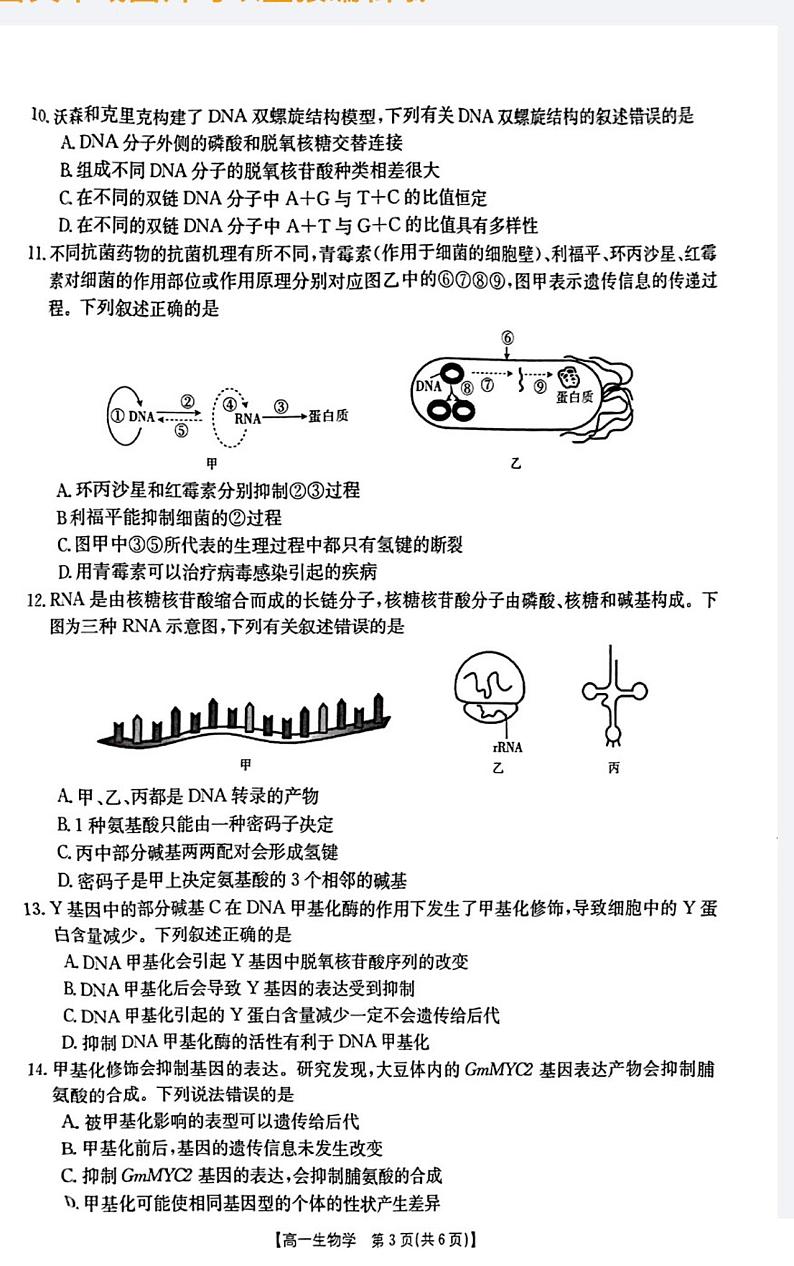 2024忻州高一下学期5月月考试题生物PDF版含答案第3页