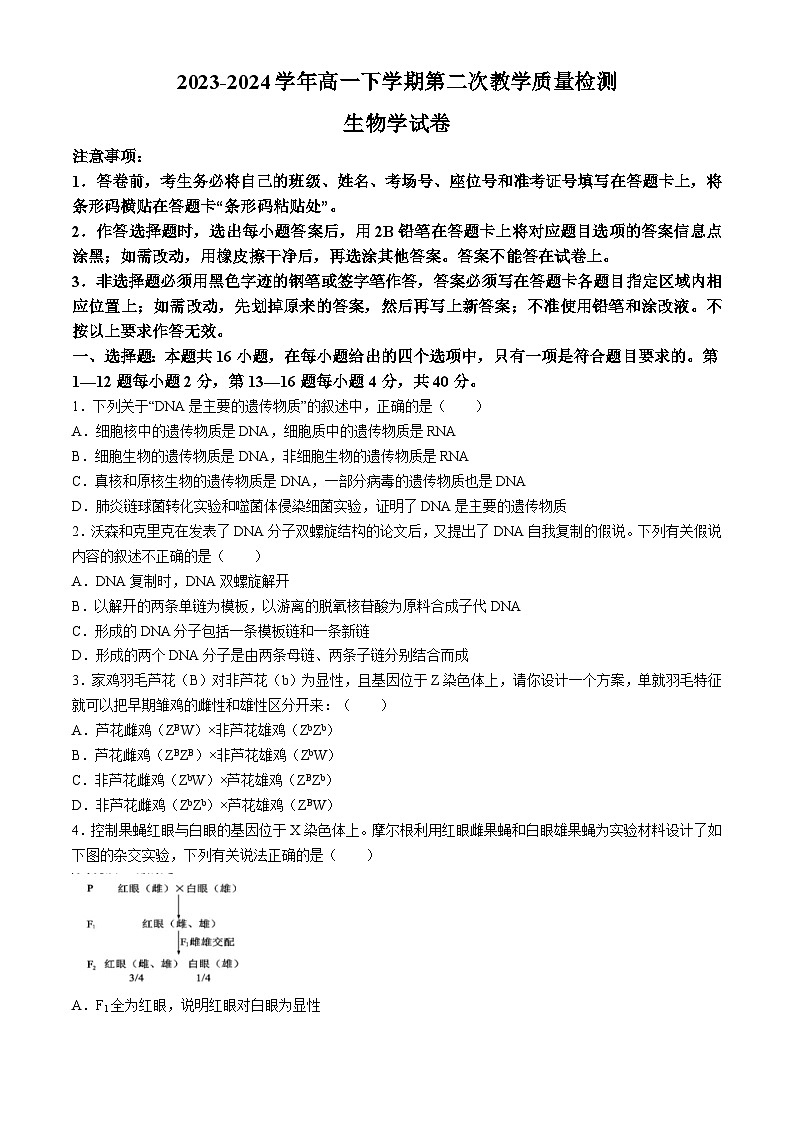 2024广东省四会中学、广信中学高一下学期第二次月考试题生物含解析01