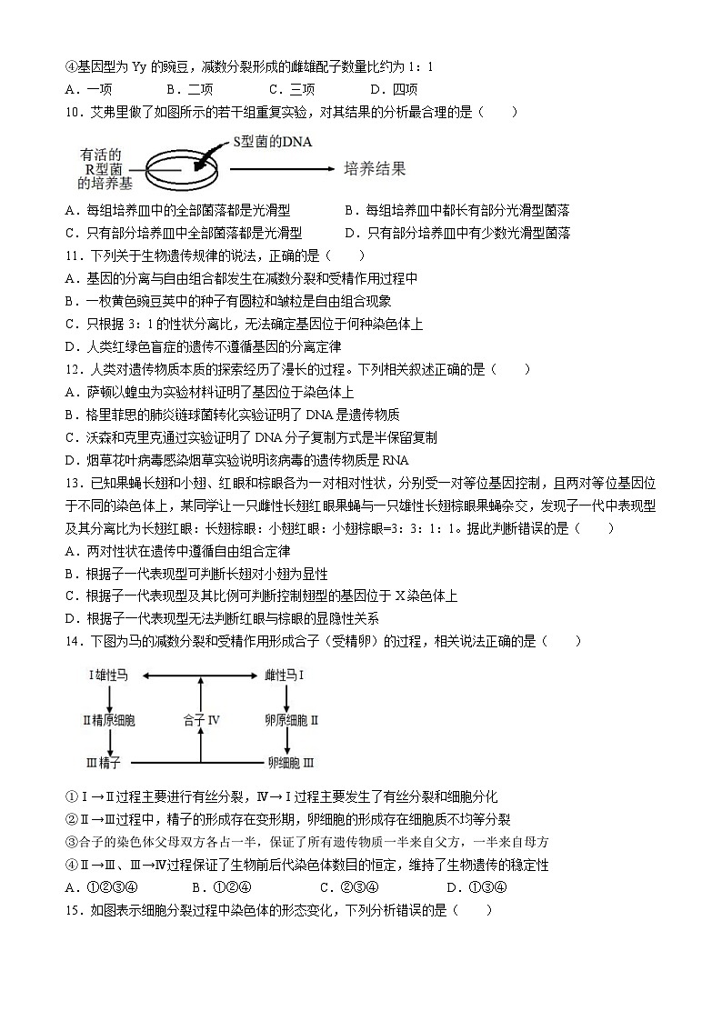 2024广东省四会中学、广信中学高一下学期第二次月考试题生物含解析03