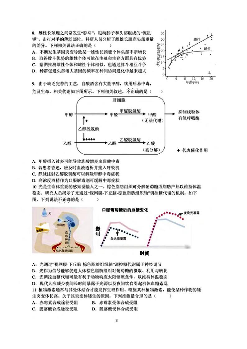2024北京市中国人民大学附中高三下学期5月三模试题生物PDF版含答案第3页