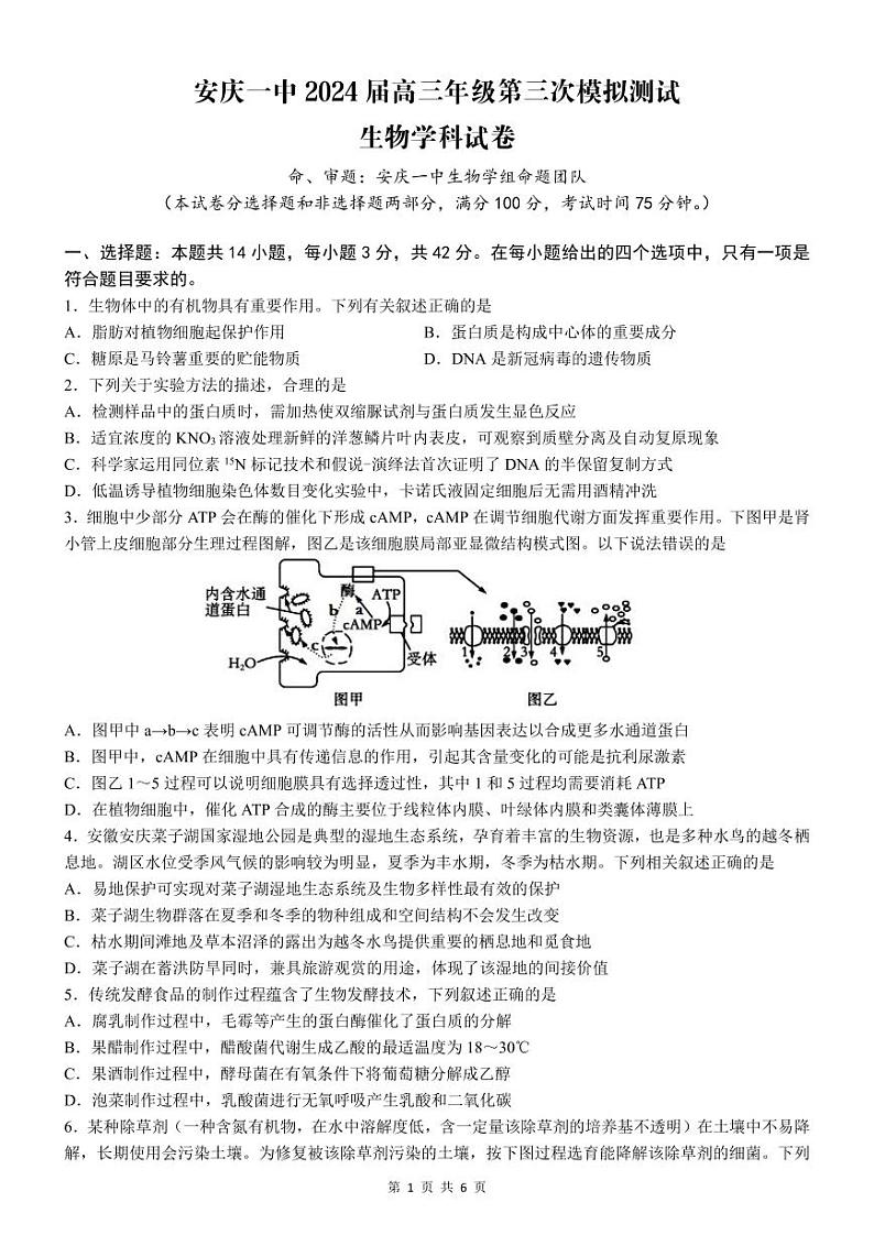 2024安庆一中高三下学期5月三模试题生物PDF版含解析01