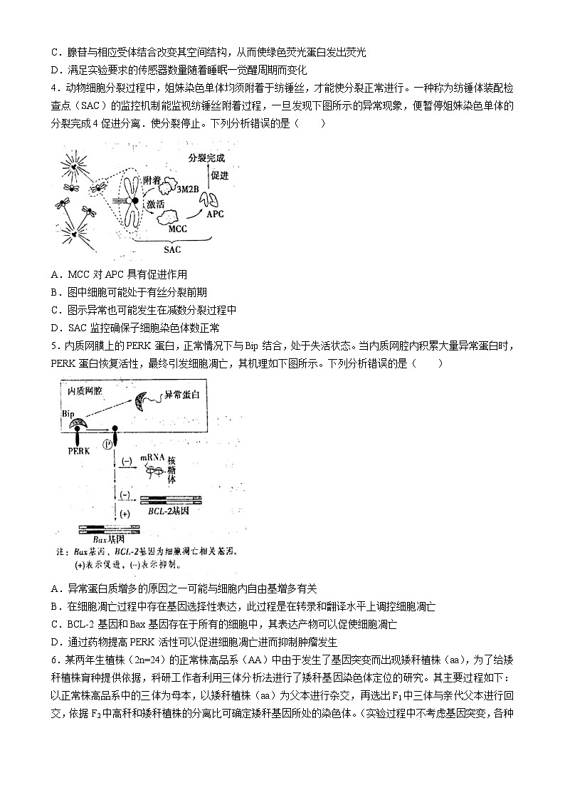 2024德州一中高三下学期三模试题生物含解析02