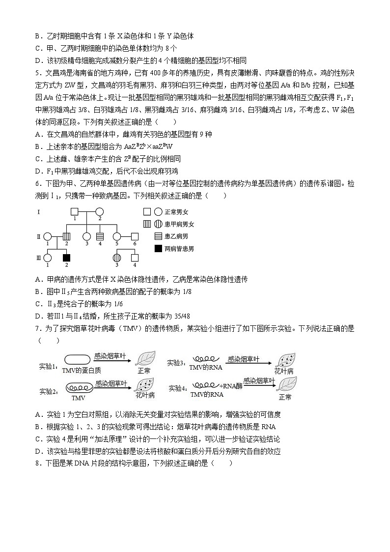 湖南省邵东市第一中学2023-2024学年高一下学期第三次月考生物试题第2页