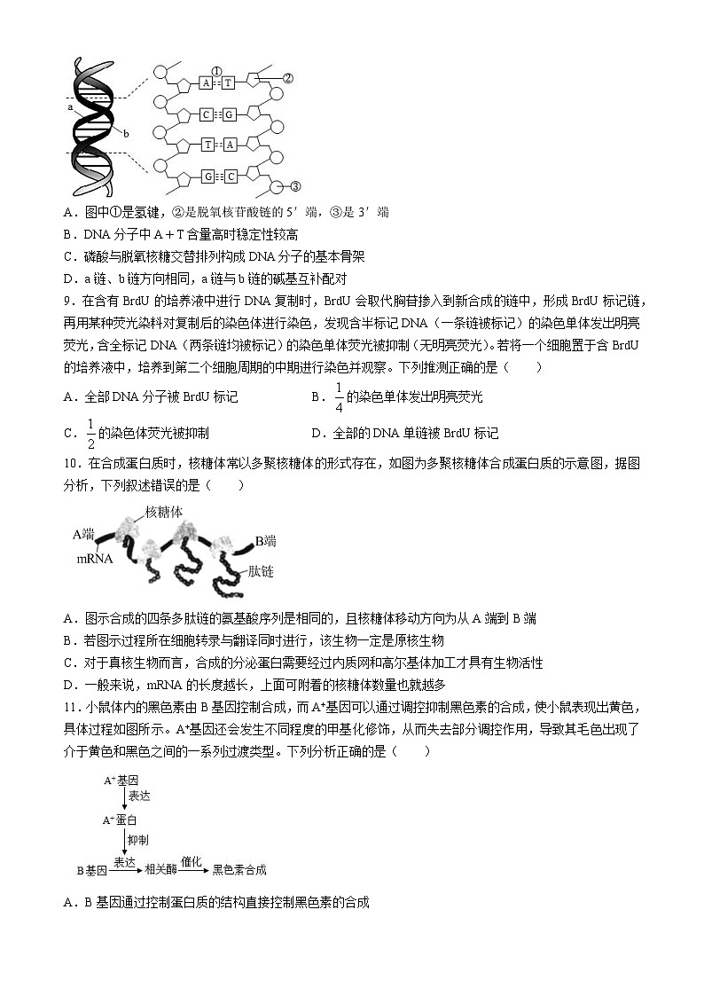 湖南省邵东市第一中学2023-2024学年高一下学期第三次月考生物试题第3页