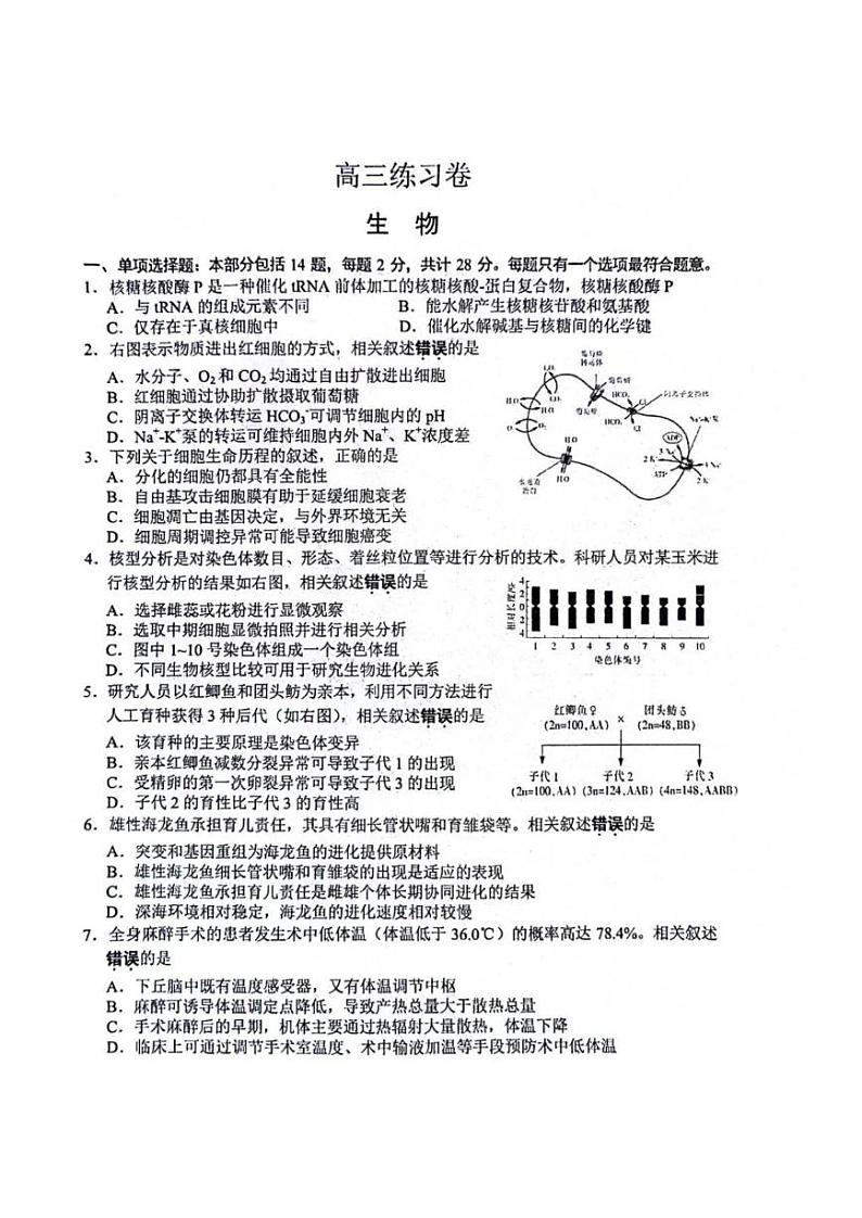 生物-江苏省南通市2024届高三第四次模拟考试01