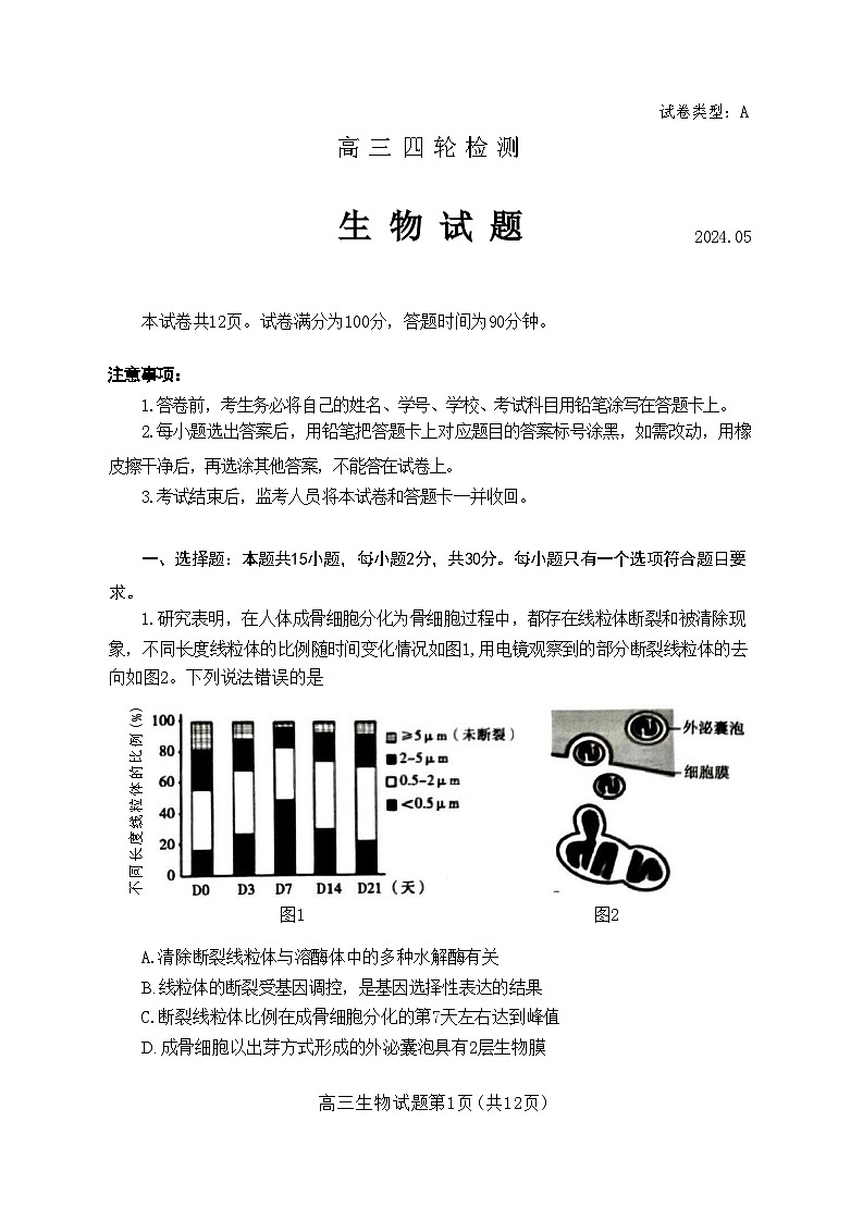 生物-山东省泰安市2024年(届)高三年级四轮检测(泰安四模)第1页