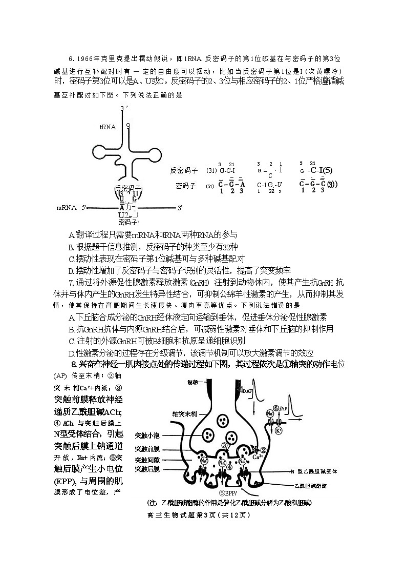 生物-山东省泰安市2024年(届)高三年级四轮检测(泰安四模)第3页