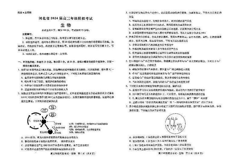 生物-河北省2024届高三年级模拟考试暨邯郸市高三三模01