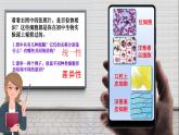 人教版2019高中生物必修1课件1-2细胞的多样性和统一性(可编版)