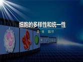 人教版2019高中生物必修1课件1-2细胞的多样性和统一性(可编版)