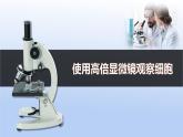 人教版2019高中生物必修1课件1-2细胞的多样性和统一性(可编版)