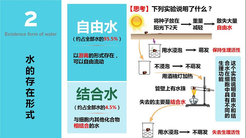 人教版2019高中生物必修1课件2-2细胞中的无机物(新教材有限版)08