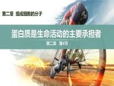 人教版2019高中生物必修1课件2-4 蛋白质是生命活动的主要承担者(新教材有限版)