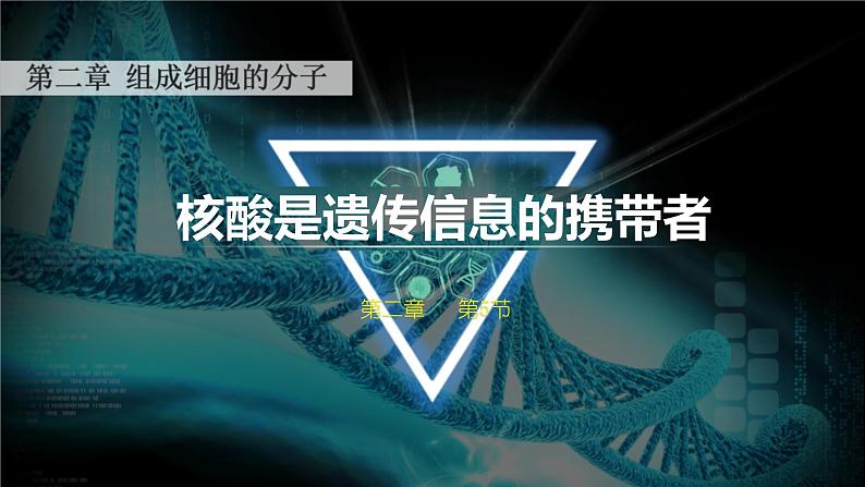 人教版2019高中生物必修1课件2-5核酸是遗传信息的携带者(新教材有限版)01