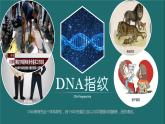人教版2019高中生物必修1课件2-5核酸是遗传信息的携带者(新教材有限版)