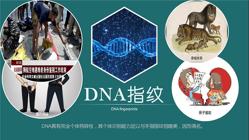 人教版2019高中生物必修1课件2-5核酸是遗传信息的携带者(新教材有限版)03