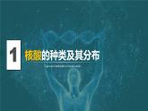 人教版2019高中生物必修1课件2-5核酸是遗传信息的携带者(新教材有限版)