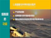 人教版2019高中生物必修1课件3-1细胞膜的结构和功能(新教材有限版)
