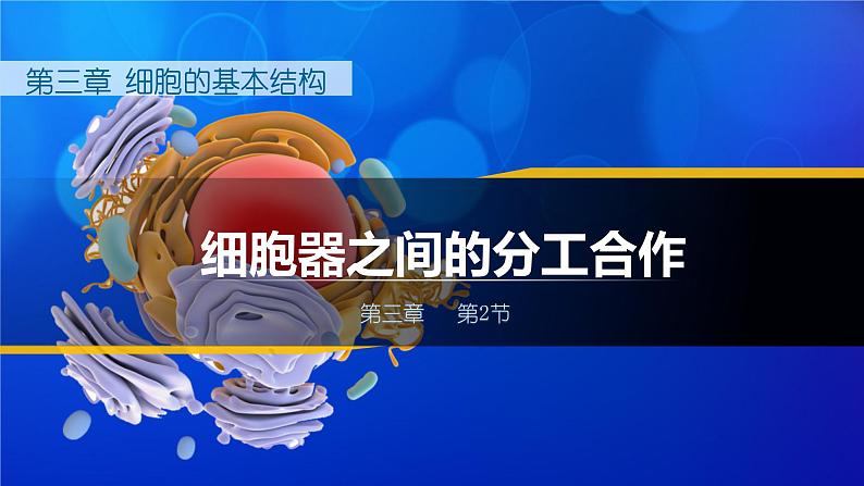 人教版2019高中生物必修1课件3-2细胞器之间的分工合作(新教材有限版)01