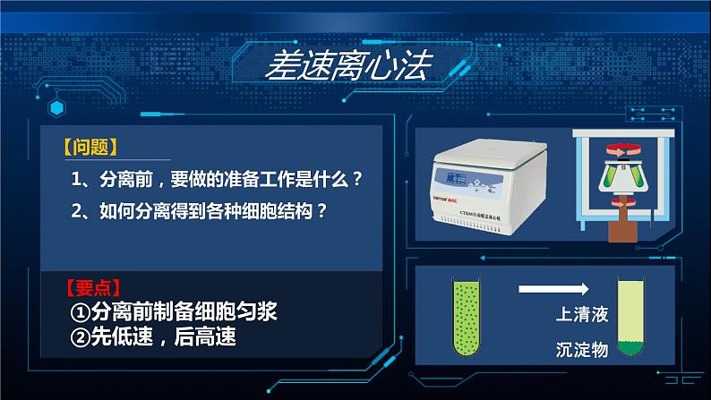 人教版2019高中生物必修1课件3-2细胞器之间的分工合作(新教材有限版)07