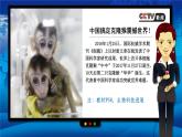 人教版2019高中生物必修1课件3-3细胞核的结构和功能(新教材有限版)
