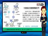 人教版2019高中生物必修1课件3-3细胞核的结构和功能(新教材有限版)