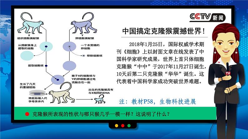 人教版2019高中生物必修1课件3-3细胞核的结构和功能(新教材有限版)第4页