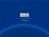 人教版2019高中生物必修1课件3-3细胞核的结构和功能(新教材有限版)