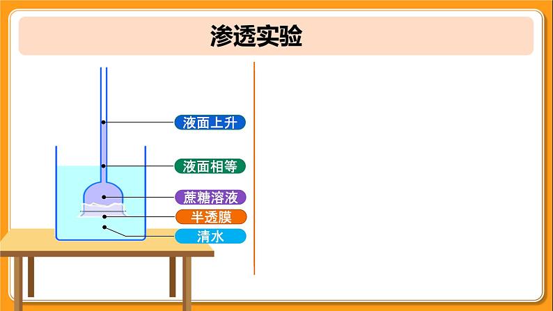 人教版2019高中生物必修1课件4-1被动运输(新教材有限版)08