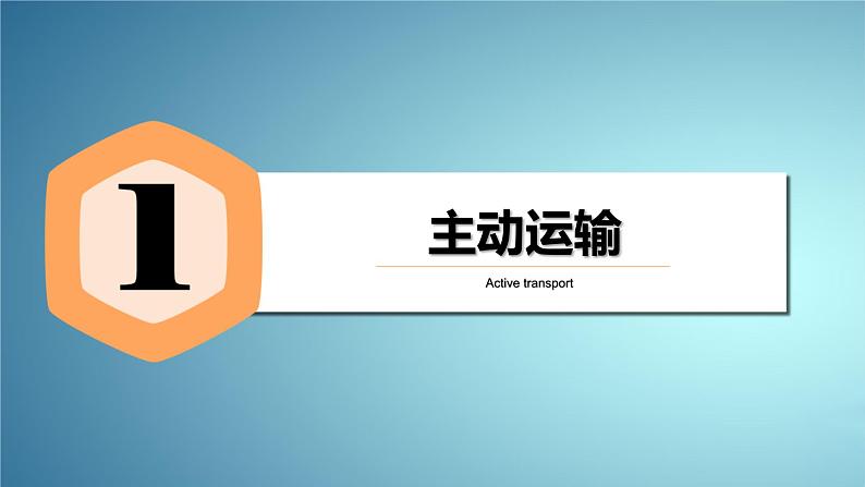 人教版2019高中生物必修1课件4-2主动运输与胞吞、胞吐(新教材有限版)04