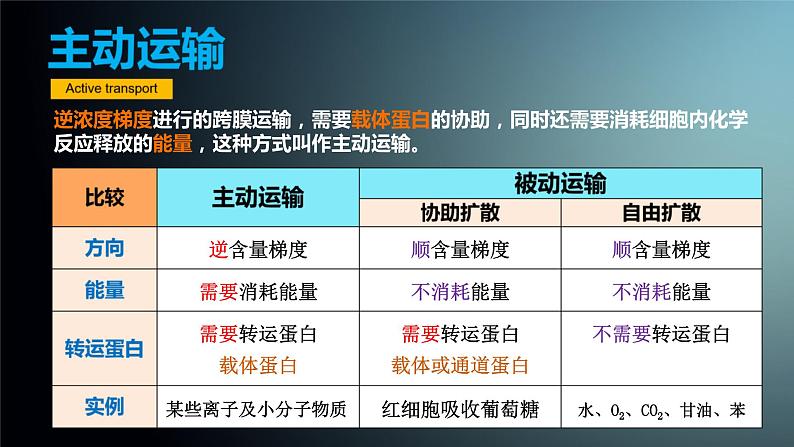 人教版2019高中生物必修1课件4-2主动运输与胞吞、胞吐(新教材有限版)06