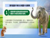 人教版2019高中生物必修1课件6-1细胞的增殖(新教材有限版)